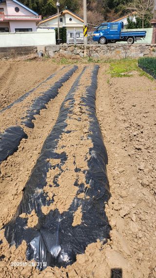 홍순철님의 기타작물 · 영농일지 작성글 사진