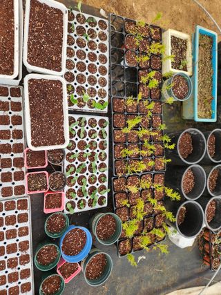 드래곤 님의 기타작물 · 영농일지 작성글 사진