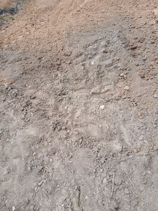 최남옥님의 기타작물 · 영농일지 작성글 사진