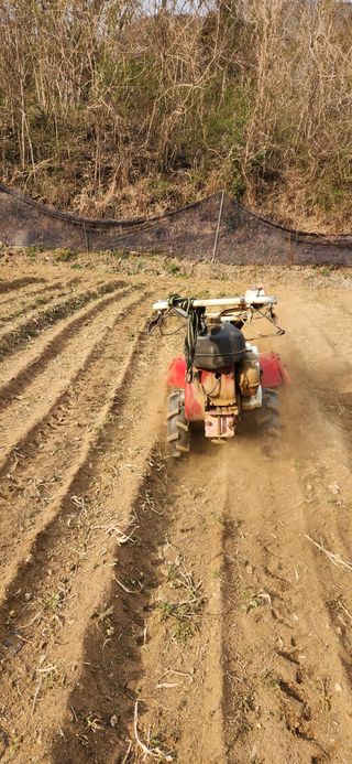 최군환님의 기타작물 · 영농일지 작성글 사진