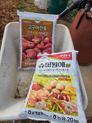 심기정님의 고구마 · 영농일지 작성글 사진