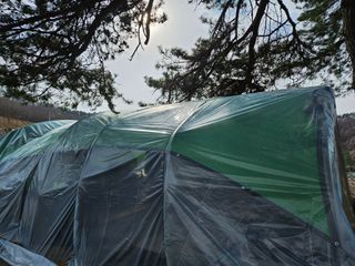 이기연님의 기타작물 · 영농일지 작성글 사진