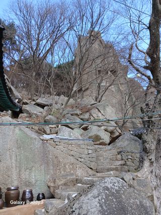 대파6310님의 사과 · 영농일지 작성글 사진