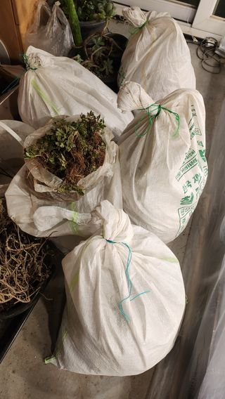 김동식님의 기타작물 · 영농일지 작성글 사진