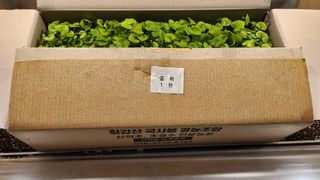 김동식님의 기타작물 · 영농일지 작성글 사진