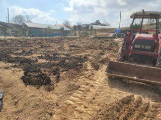 황금알대박농원!님의 감자 · 영농일지 작성글 사진