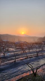 팜모닝 기타작물·영농일지 게시글 이미지