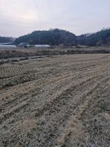 팜모닝 기타작물·영농일지 게시글 이미지