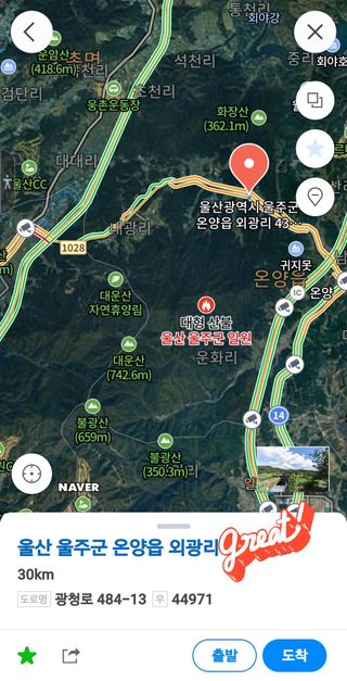 로즈마리님의 마늘 · 영농일지 작성글 사진