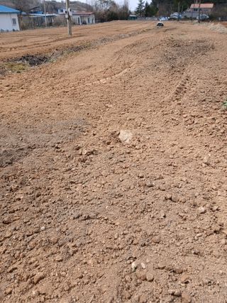 최남옥님의 기타작물 · 영농일지 작성글 사진