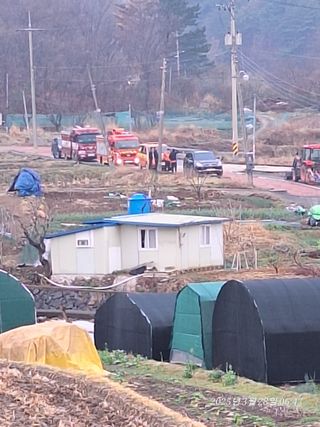 로즈마리님의 마늘 · 영농일지 작성글 사진