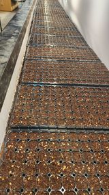 팜모닝 기타작물·영농일지 게시글 이미지