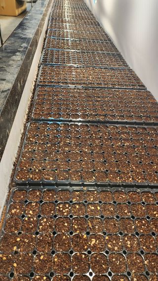 김동식님의 기타작물 · 영농일지 작성글 사진