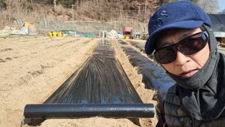 김윤회님의 감자 · 영농일지 작성글 사진