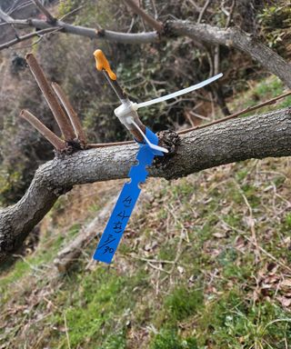 멧돼지님의 기타작물 · 영농일지 작성글 사진