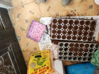 드래곤 님의 기타작물 · 영농일지 작성글 사진