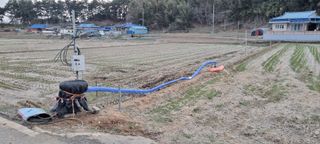 상촌농장 영가이버님의 기타작물 · 영농일지 작성글 사진