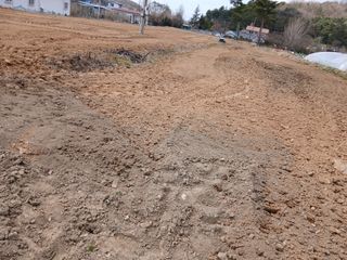 최남옥님의 기타작물 · 영농일지 작성글 사진