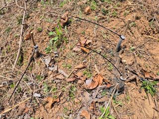 팜모닝회원류한배님의 기타작물 · 영농일지 작성글 사진