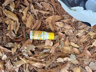 보물섬남자님의 기타작물 · 영농일지 작성글 사진