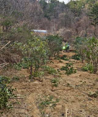 멧돼지님의 기타작물 · 영농일지 작성글 사진