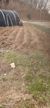 팜모닝 감자·영농일지 게시글 이미지