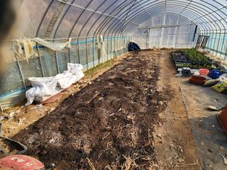 드래곤 님의 기타작물 · 영농일지 작성글 사진