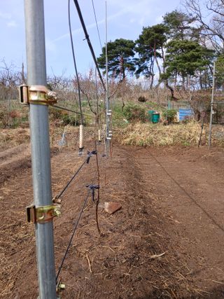 이광희님의 기타작물 · 영농일지 작성글 사진