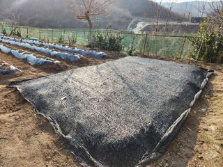 드래곤 님의 기타작물 · 영농일지 작성글 사진