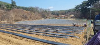 박사원농장님의 기타작물 · 영농일지 작성글 사진