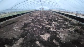 권병국님의 고추 · 영농일지 작성글 사진