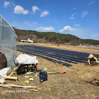 이의석님의 기타작물 · 영농일지 작성글 사진