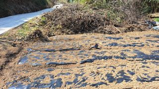 태능김동수님의 기타작물 · 영농일지 작성글 사진