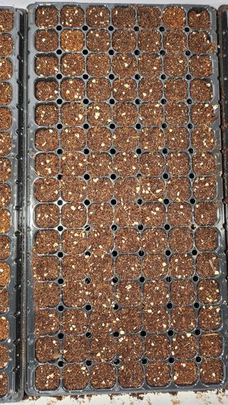 김동식님의 기타작물 · 영농일지 작성글 사진