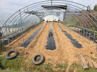 별장의텃밭농부님의 기타작물 · 영농일지 작성글 사진