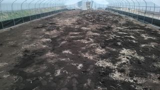 권병국님의 고추 · 영농일지 작성글 사진