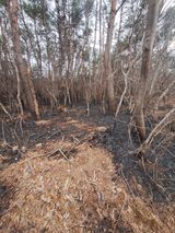 팜모닝 마늘·영농일지 게시글 이미지