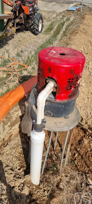 상촌농장 영가이버님의 기타작물 · 영농일지 작성글 사진