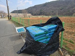 심기정님의 고구마 · 영농일지 작성글 사진