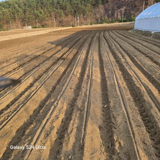이의석님의 기타작물 · 영농일지 작성글 사진