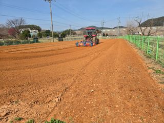 심기정님의 고구마 · 영농일지 작성글 사진