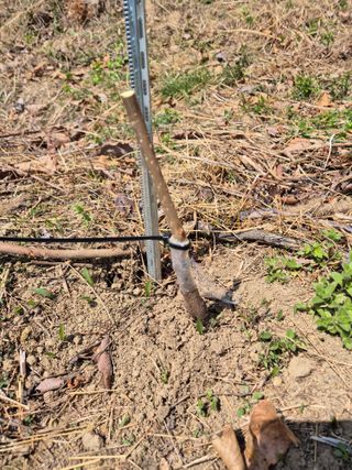 팜모닝회원류한배님의 기타작물 · 영농일지 작성글 사진