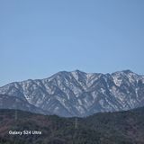 팜모닝 기타작물·영농일지 게시글 이미지