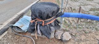 상촌농장 영가이버님의 기타작물 · 영농일지 작성글 사진