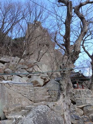 대파6310님의 사과 · 영농일지 작성글 사진