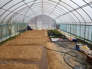 드래곤 님의 기타작물 · 영농일지 작성글 사진