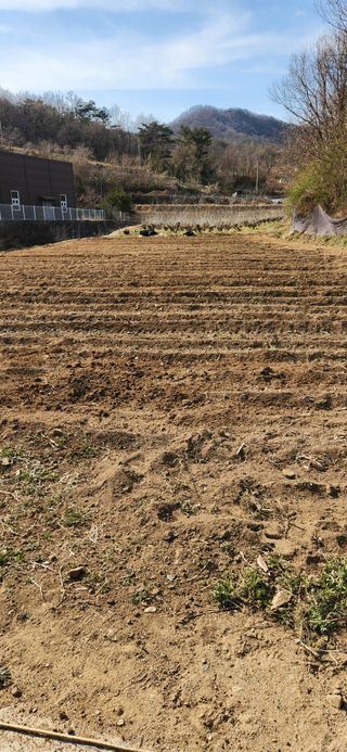 최군환님의 기타작물 · 영농일지 작성글 사진