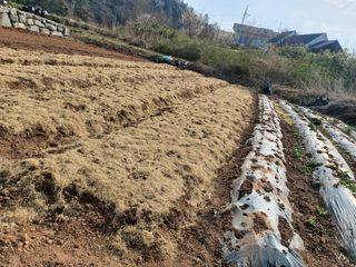 박균성님의 기타작물 · 영농일지 작성글 사진