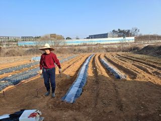 kh글로벌님의 기타작물 · 영농일지 작성글 사진