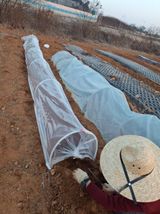 팜모닝 기타작물·영농일지 게시글 이미지